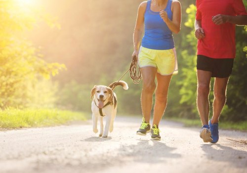 The Best Ways to Keep Your Pet Fit and Healthy