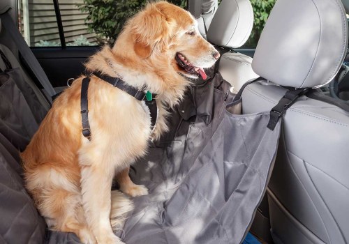 5 Essential Tips to Keep Your Pet Safe from Accidents and Injuries